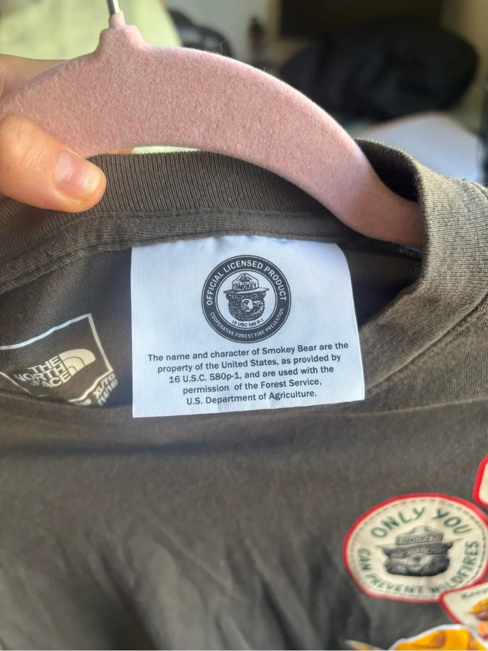 The North Face north face